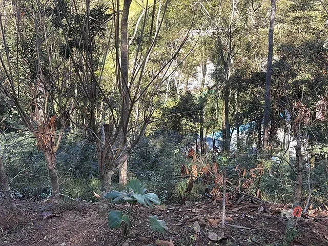 Terreno com 4239m², à venda, no bairro Cuiabá em Petrópolis