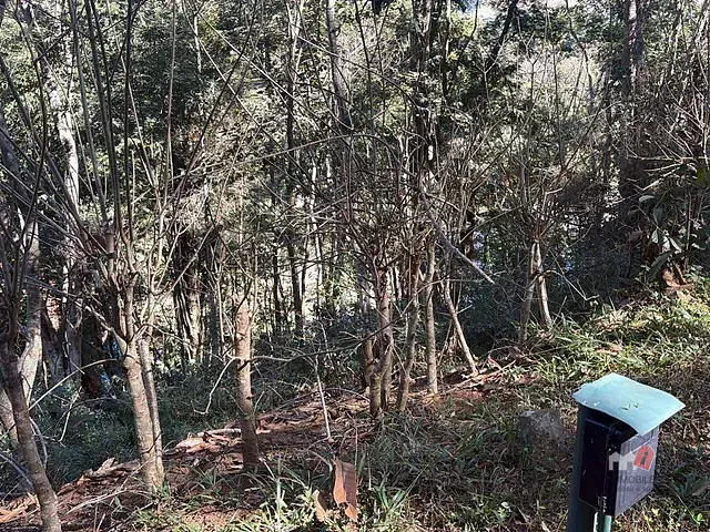 Terreno com 4239m², à venda, no bairro Cuiabá em Petrópolis