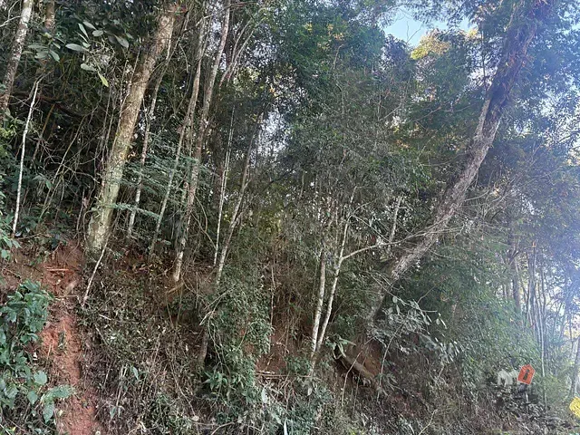 Terreno com 4239m², à venda, no bairro Cuiabá em Petrópolis
