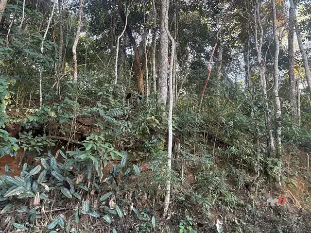 Terreno com 4239m², à venda, no bairro Cuiabá em Petrópolis