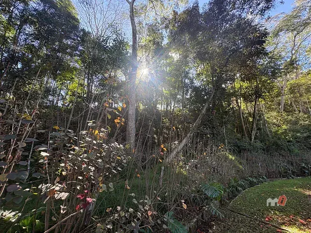 Terreno com 4239m², à venda, no bairro Cuiabá em Petrópolis