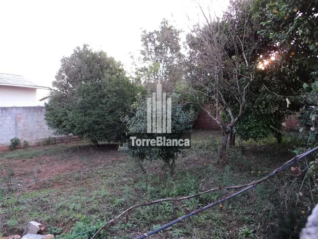 Terreno, 360 m² - Foto 4