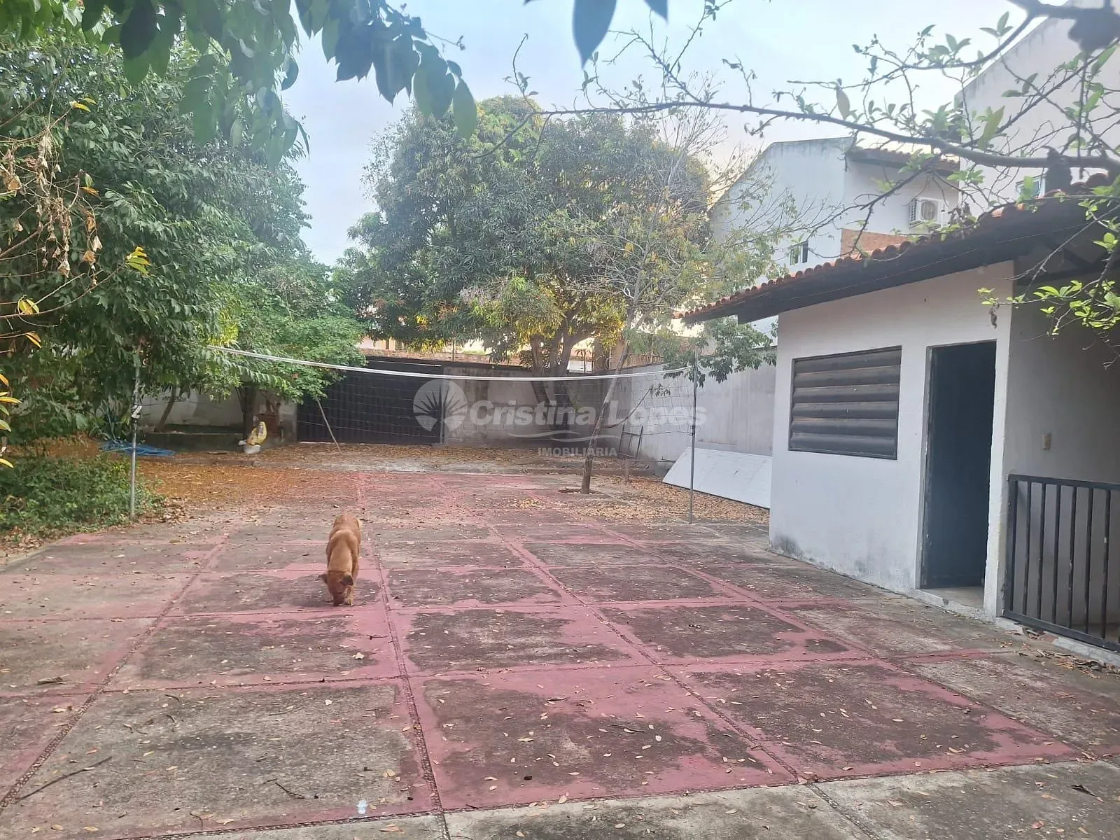Terreno, 360 m² - Foto 1