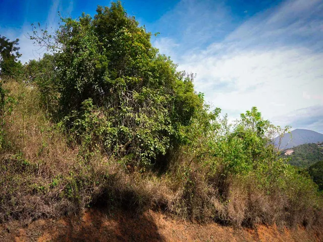 Terreno com 7506m², à venda, no bairro Itaipava em Petrópolis