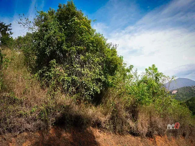 Terreno com 7506m², à venda, no bairro Itaipava em Petrópolis