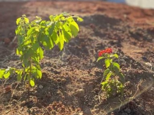Foto do Terreno - Terreno à venda, 126 m² por R$ 129.000,00 - Jardim Mariana - São José dos Campos/SP | INDEPENDENCE NEGOCIOS IMOBILIARIOS LTDA