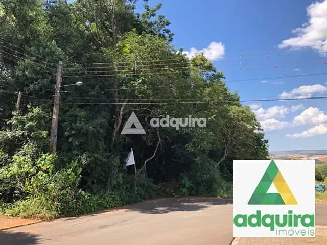 Terreno com 6612m², à venda, no bairro Oficinas em Ponta Grossa