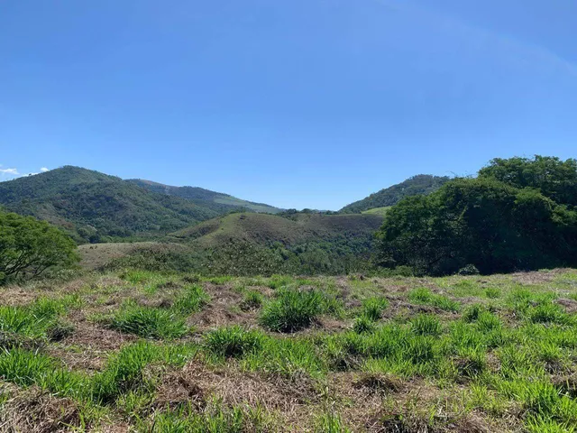 Terreno com 3546m², à venda, no bairro Secretário em Areal