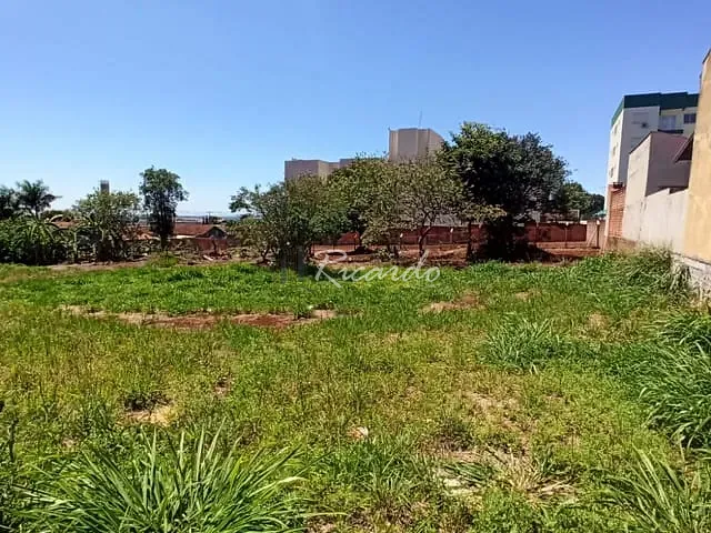 Terreno com 1008m², à venda, no bairro Vila Rugna em Arapongas