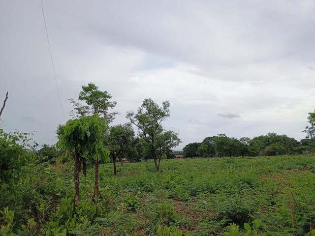 Foto do Terreno - Terreno rural para venda, 20,000m² | Lares e Andares Imóveis
