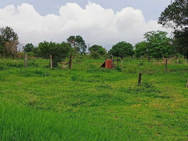 Foto do Terreno - Terreno rural para venda, 20,000m² | Lares e Andares Imóveis