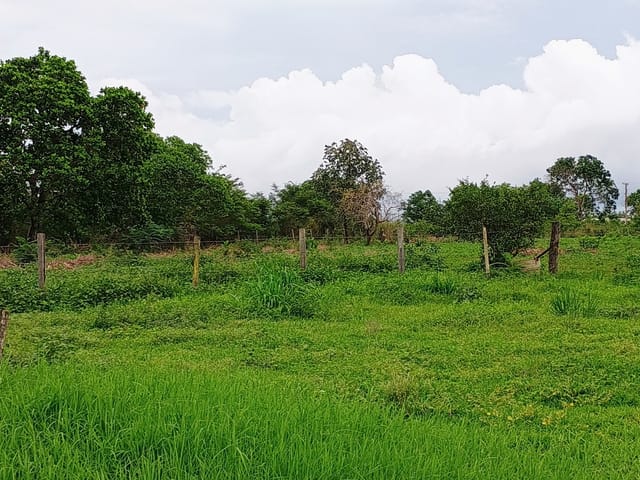 Foto do Terreno - Terreno rural para venda, 20,000m² | Lares e Andares Imóveis