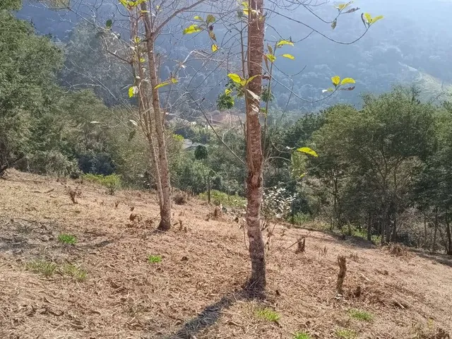 Terreno com 26600m², à venda, no bairro Itaipava em Petrópolis