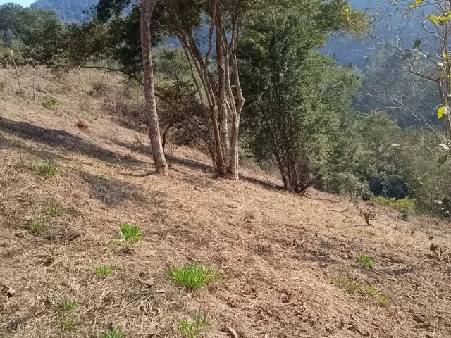 Terreno com 26600m², à venda, no bairro Itaipava em Petrópolis
