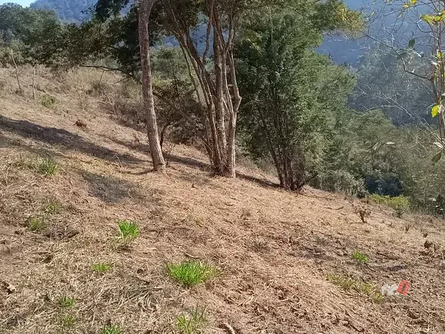 Terreno com 26600m², à venda, no bairro Itaipava em Petrópolis