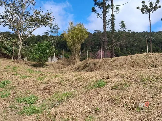 Terreno com 22300m², à venda, no bairro Vale das Videiras em Petrópolis
