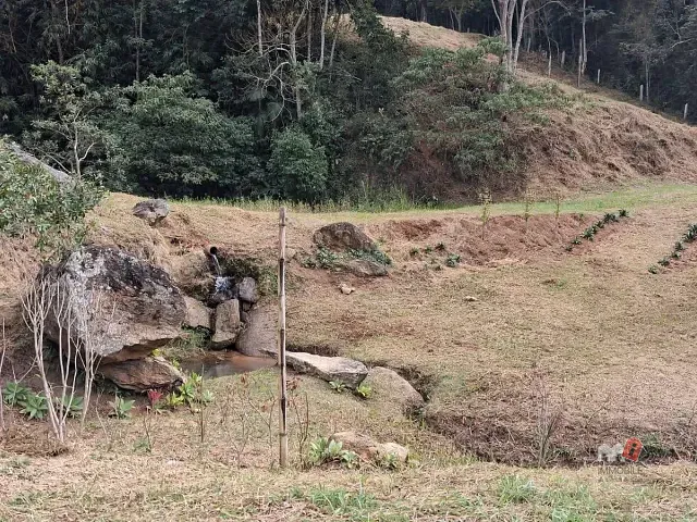 Terreno com 22300m², à venda, no bairro Vale das Videiras em Petrópolis