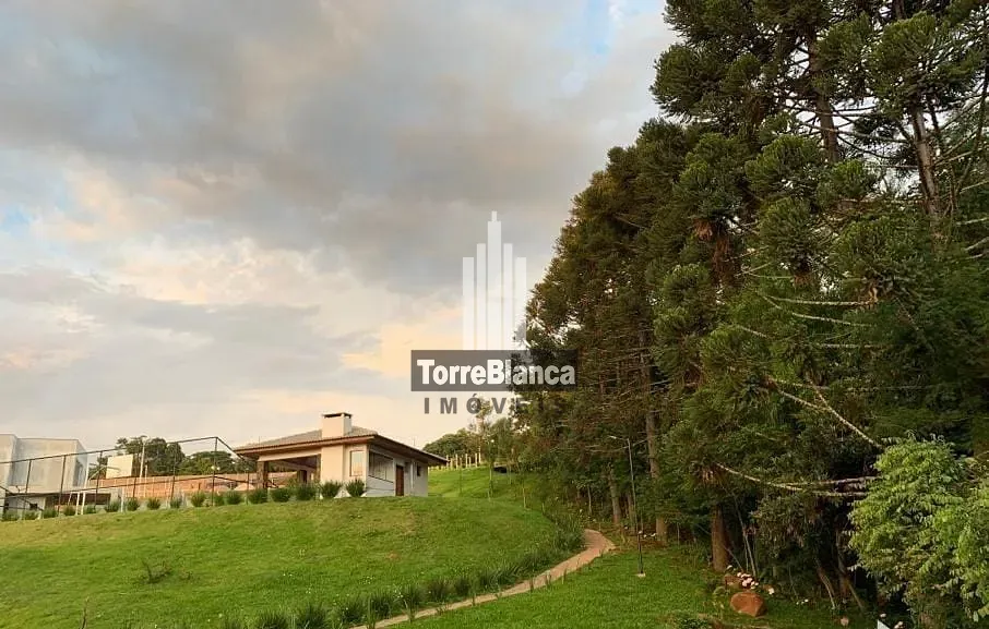 Terreno, 313 m² - Foto 11