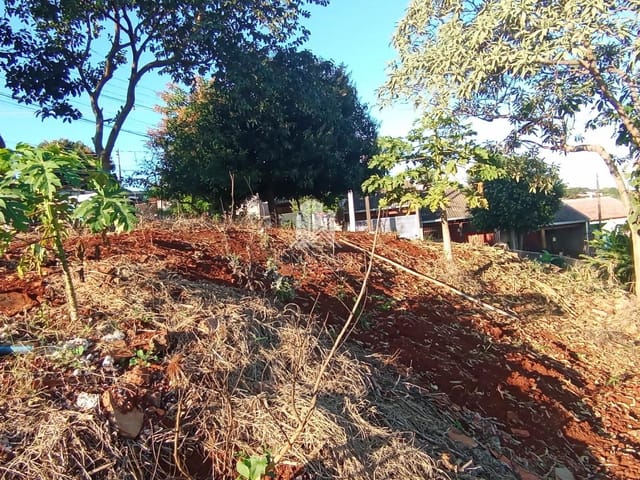 Terreno com 386m², à venda, no bairro Jardim Palmas em Londrina