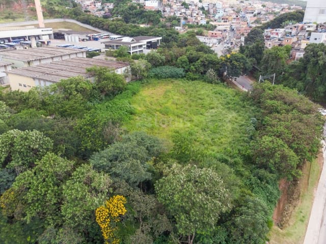 Terreno com 4500m², à venda, no bairro Jardim Alagoas em Santana de Parnaíba