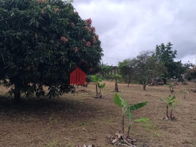Terreno com 500m², à venda, no bairro Parque Shangrilá em Pindamonhangaba