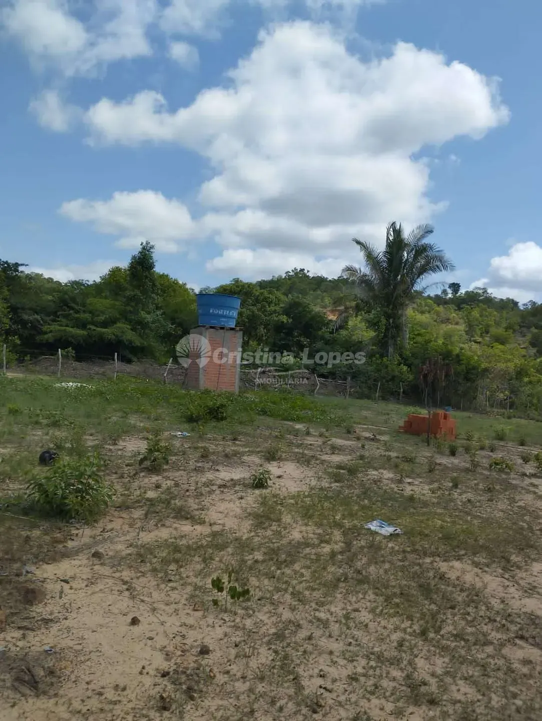 Terreno, 5000 m² - Foto 7