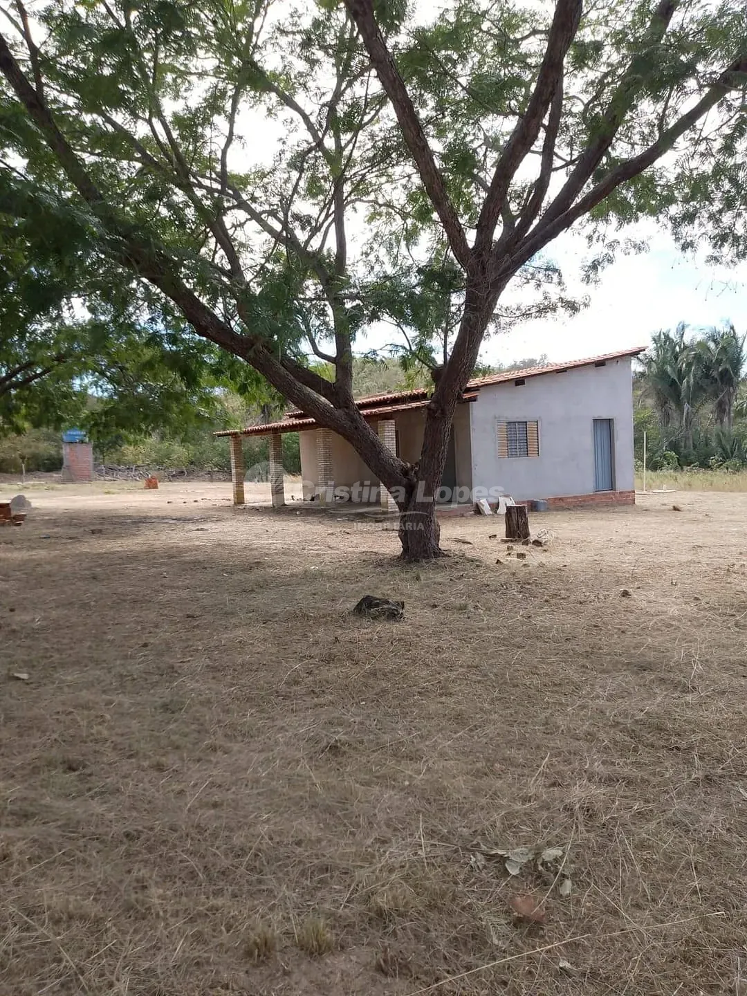 Terreno, 5000 m² - Foto 5