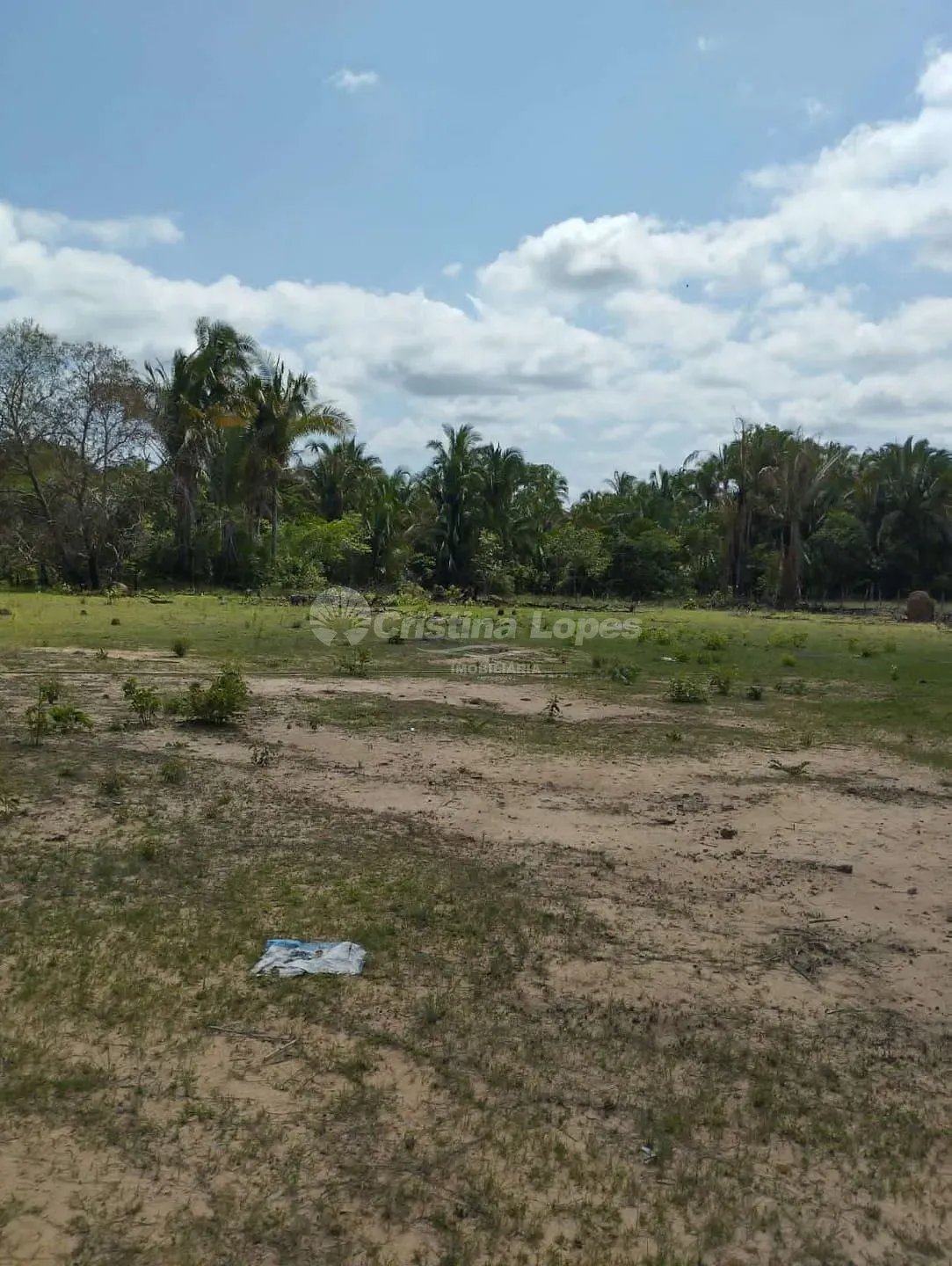 Terreno, 5000 m² - Foto 6