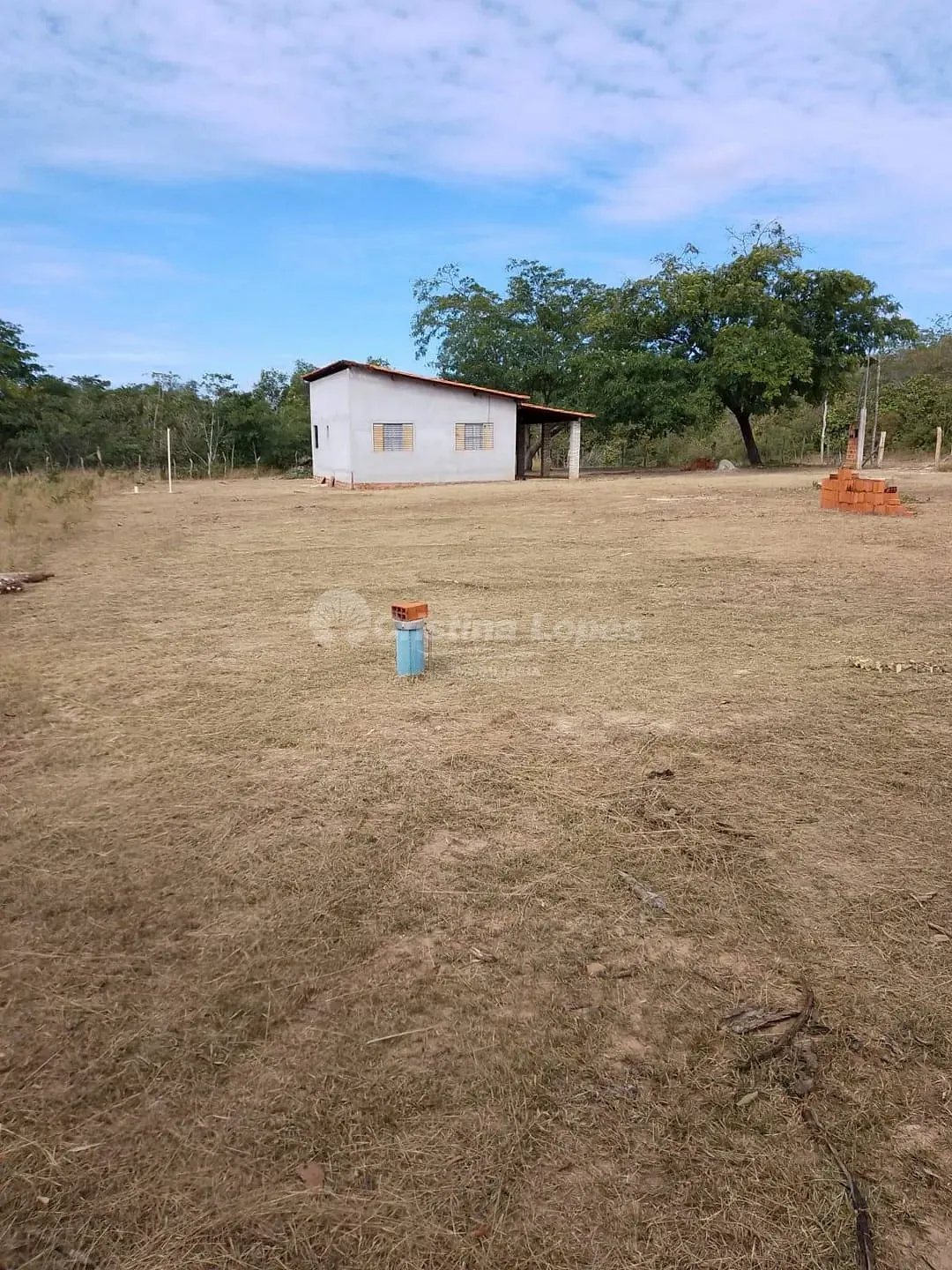 Terreno, 5000 m² - Foto 4