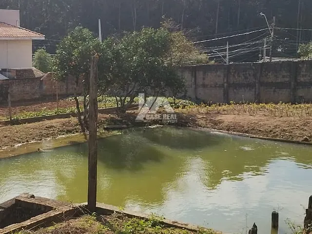 Terreno com 1300m², à venda, no bairro Orfãs em Ponta Grossa