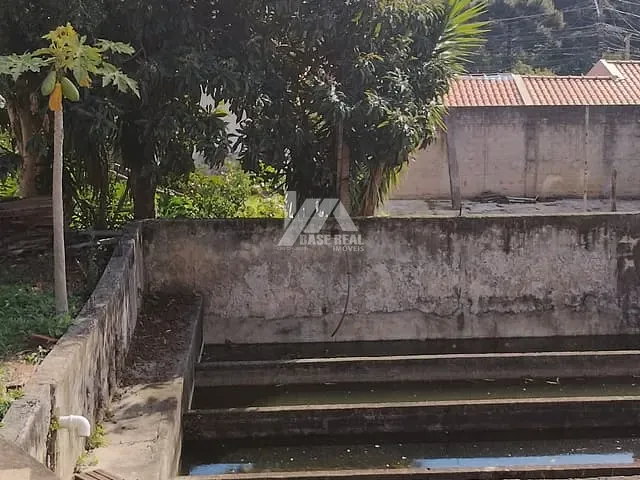 Terreno com 1300m², à venda, no bairro Orfãs em Ponta Grossa