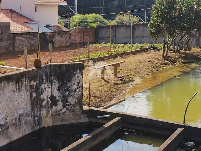 Terreno com 1300m², à venda, no bairro Orfãs em Ponta Grossa