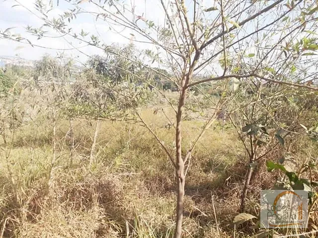 Terreno com 15121m², à venda, no bairro Jardim Santo Antônio em Atibaia