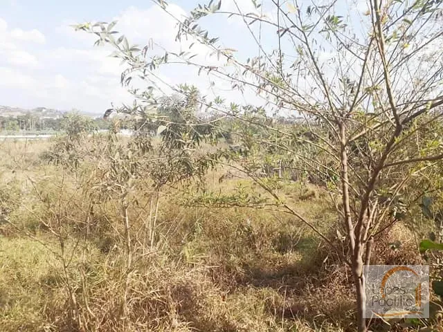 Terreno com 15121m², à venda, no bairro Jardim Santo Antônio em Atibaia