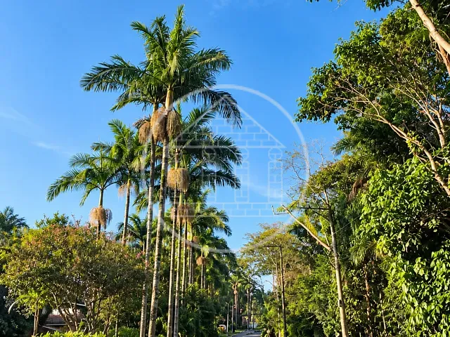 Terreno com 250m², à venda, no bairro Jardim das Palmeiras (Zona Sul) em São Paulo