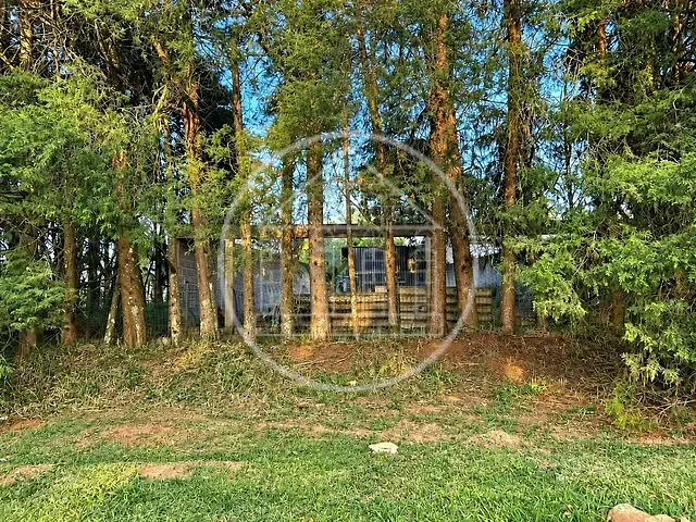 Terreno com 250m², à venda, no bairro Jardim das Palmeiras (Zona Sul) em São Paulo