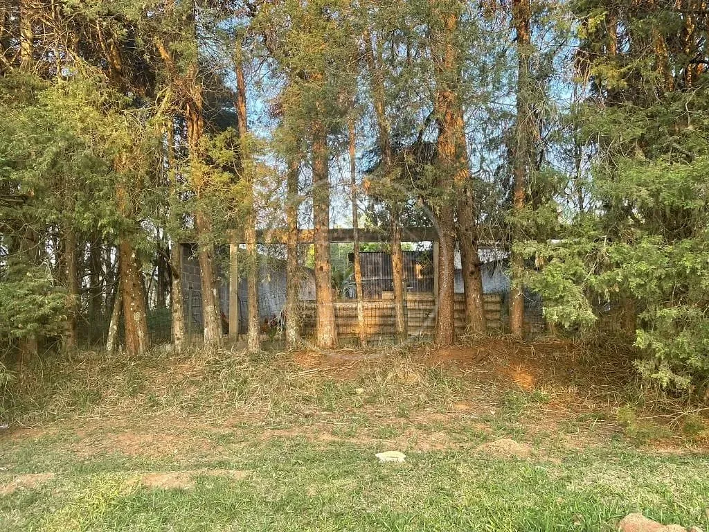 Terreno, 250 m² - Foto 1