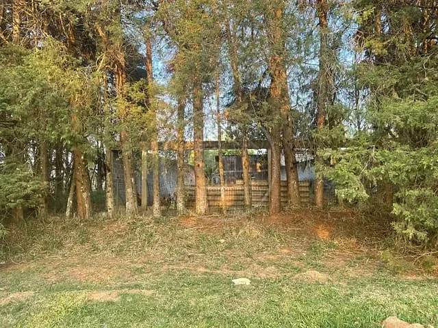 Terreno com 250m², à venda, no bairro Jardim das Palmeiras (Zona Sul) em São Paulo