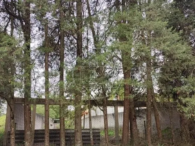 Terreno com 250m², à venda, no bairro Jardim das Palmeiras (Zona Sul) em São Paulo