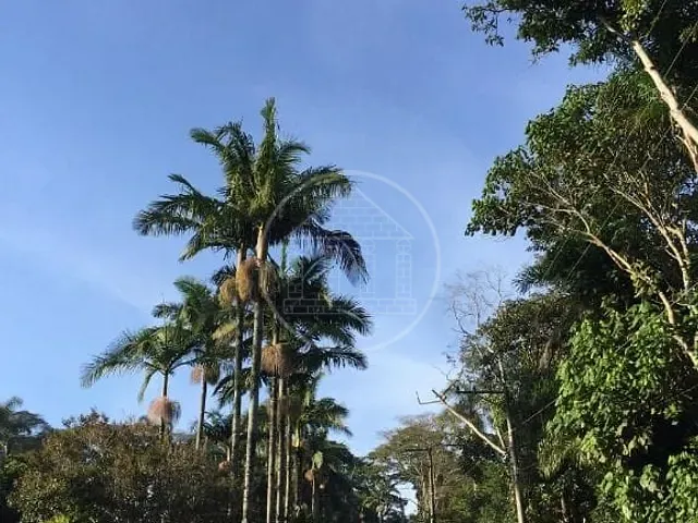 Terreno com 250m², à venda, no bairro Jardim das Palmeiras (Zona Sul) em São Paulo