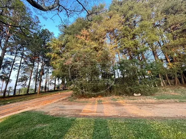 Terreno com 250m², à venda, no bairro Jardim das Palmeiras (Zona Sul) em São Paulo