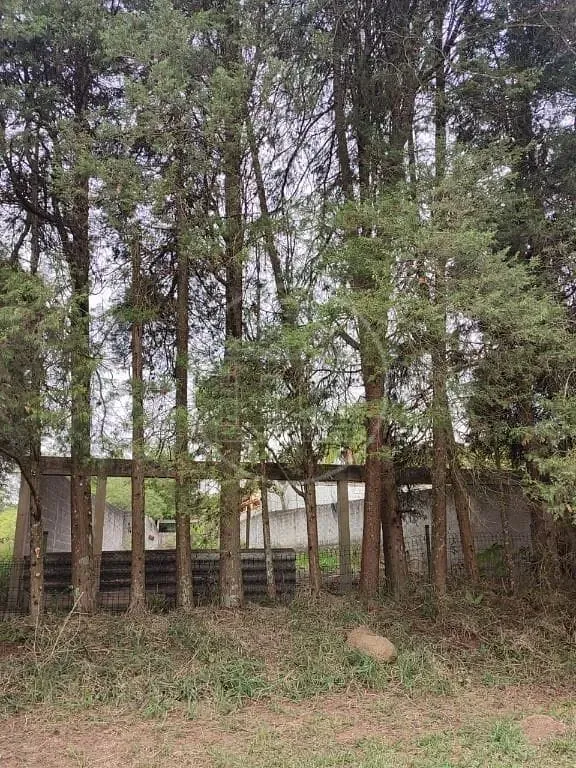 Terreno, 250 m² - Foto 2