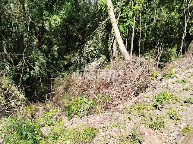 Terreno com 662m², à venda, no bairro Dos Estudantes em Ipira