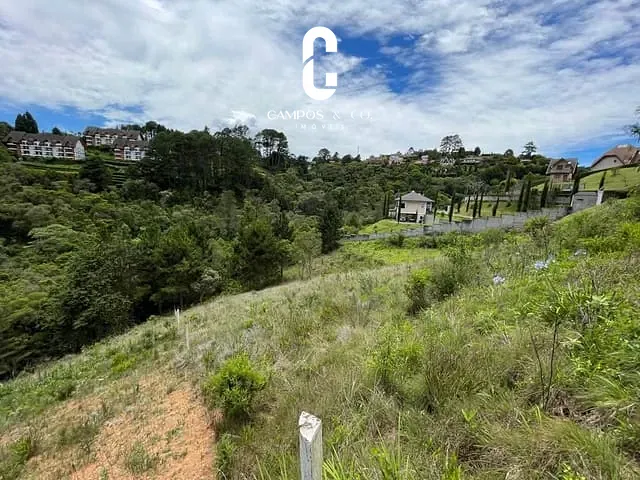 Terreno com 2517m², à venda, no bairro Alto do Capivari em Campos Do Jordão