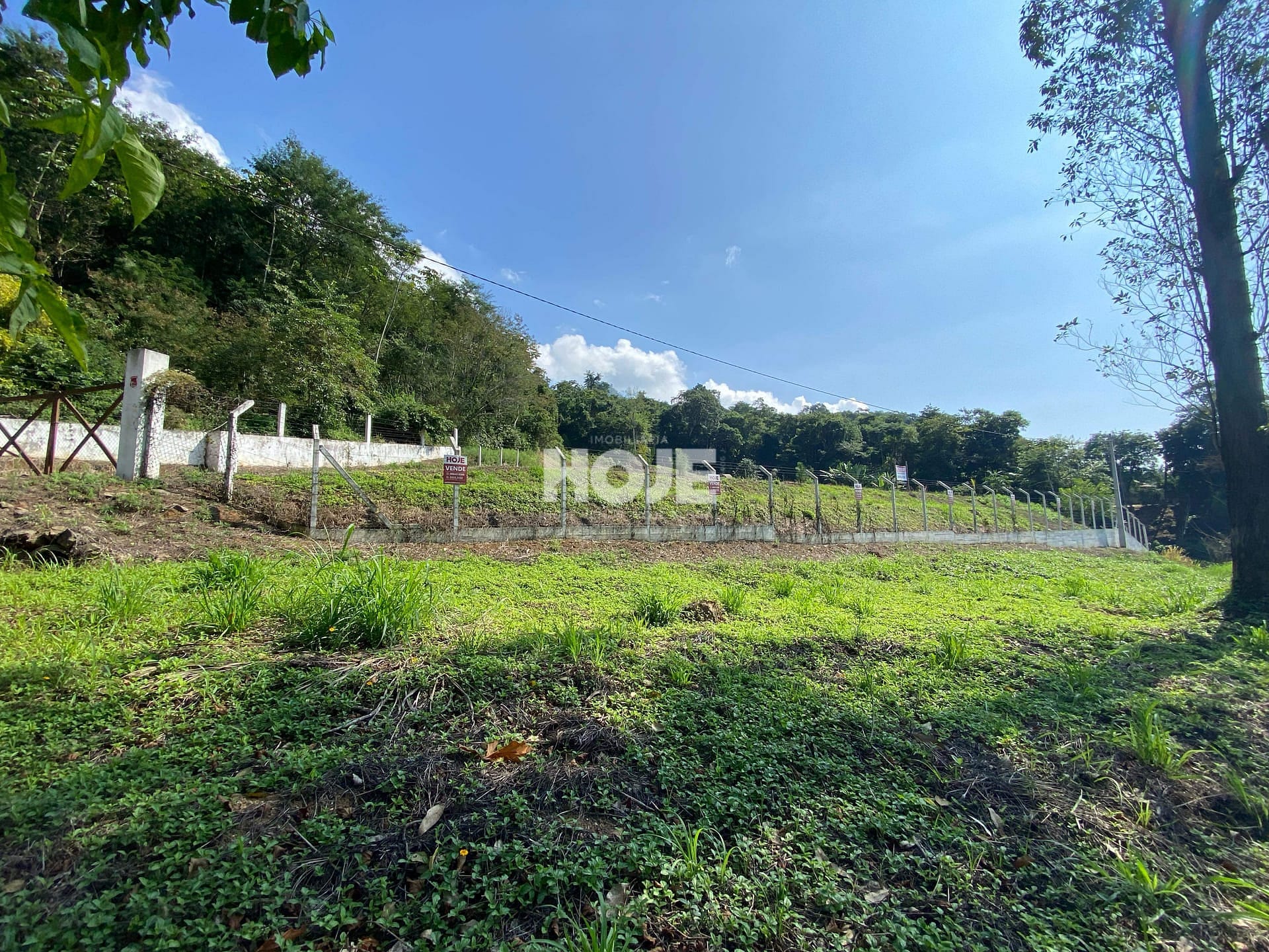 Terreno Industrial à venda, RIO MORTO, Indaial, SC - foto 1