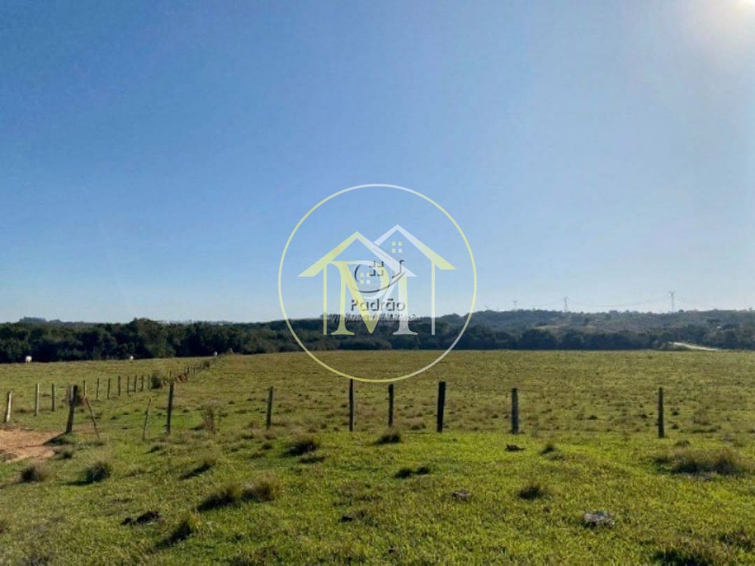 Terreno, 33 hectares - Foto 4