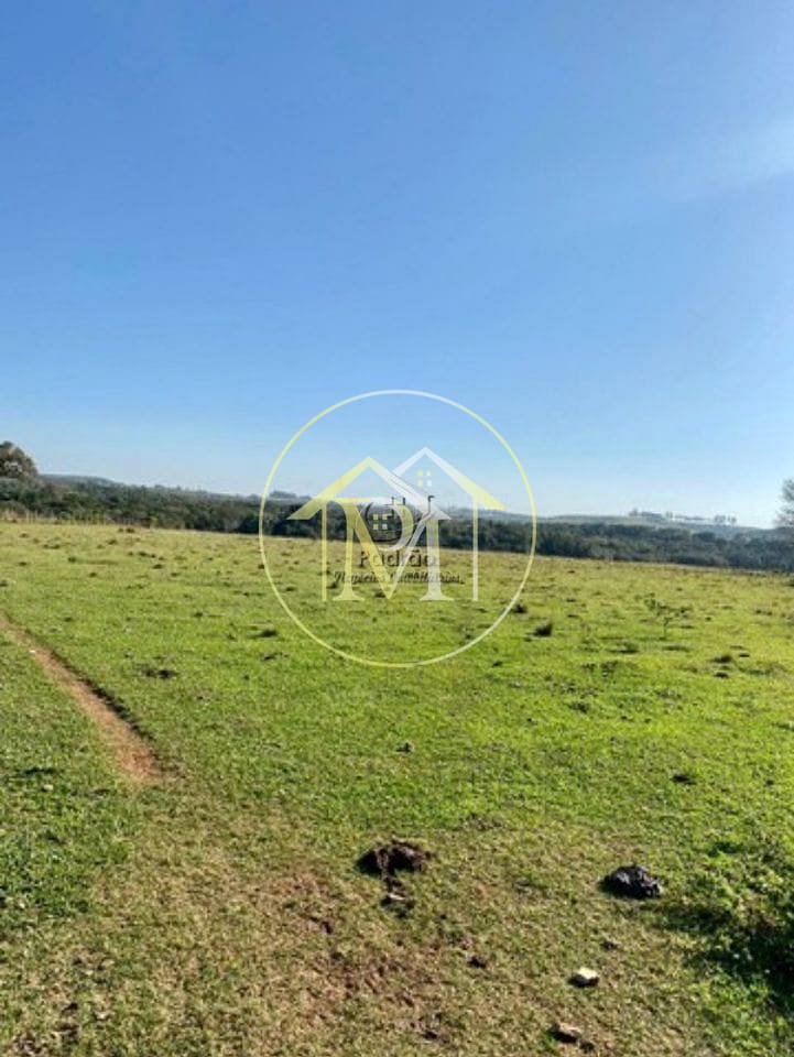 Terreno, 33 hectares - Foto 6