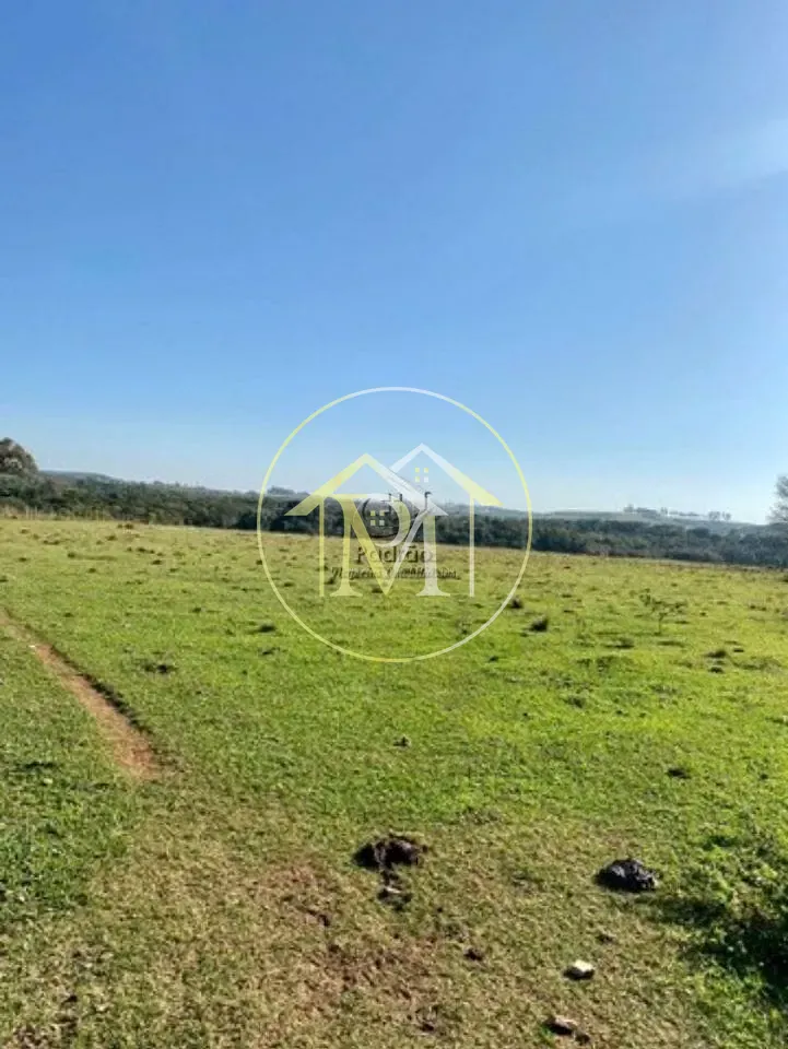 Terreno, 33 hectares - Foto 6