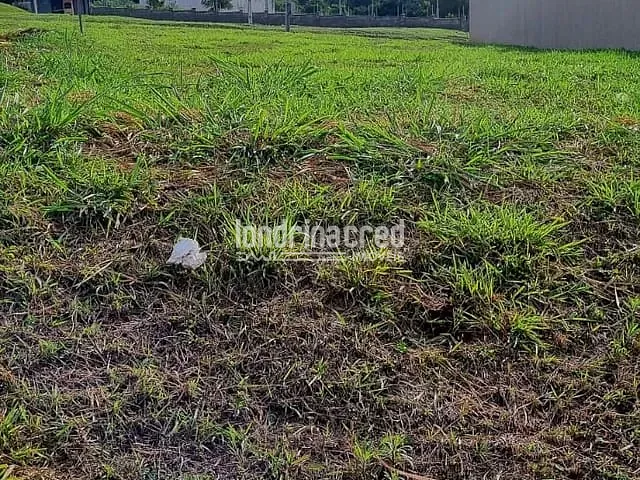 Terreno com 155m², à venda, no bairro Indústrias Leves em Londrina
