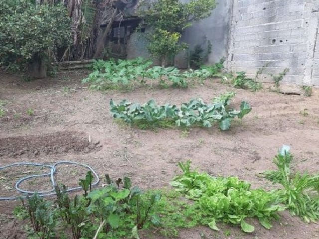 Terreno com 250m², à venda, no bairro Caucaia do Alto em Cotia
